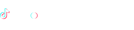 TikTok Marketing Partners