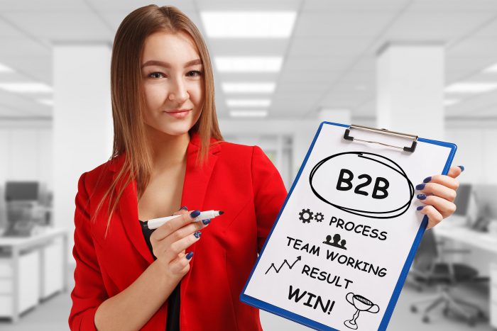 Digital Marketing for a B2B Company