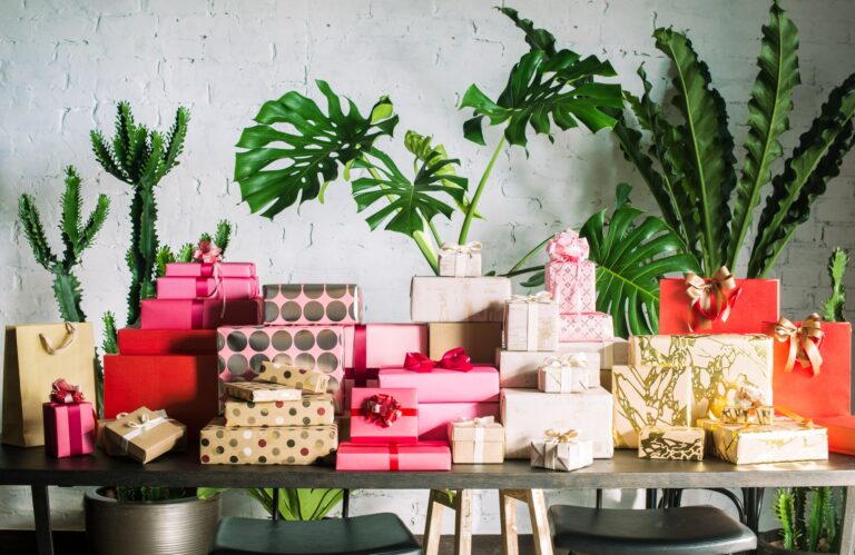 The Gift & Gadget Store | Paid Media Case Study | Bamboo Nine