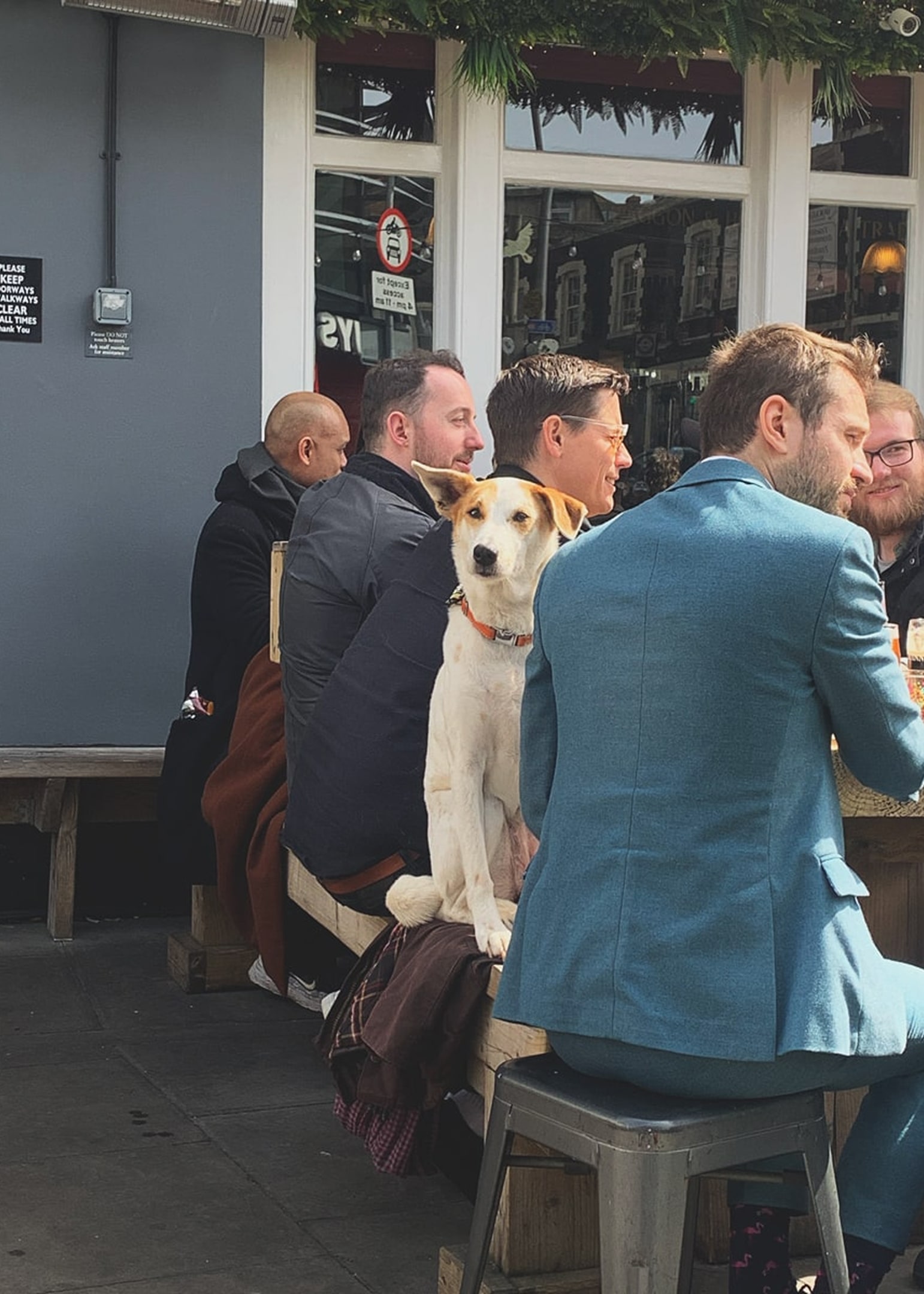 bamboo nine's resident dog Eva sat on a wooden bench amongst members of the teams