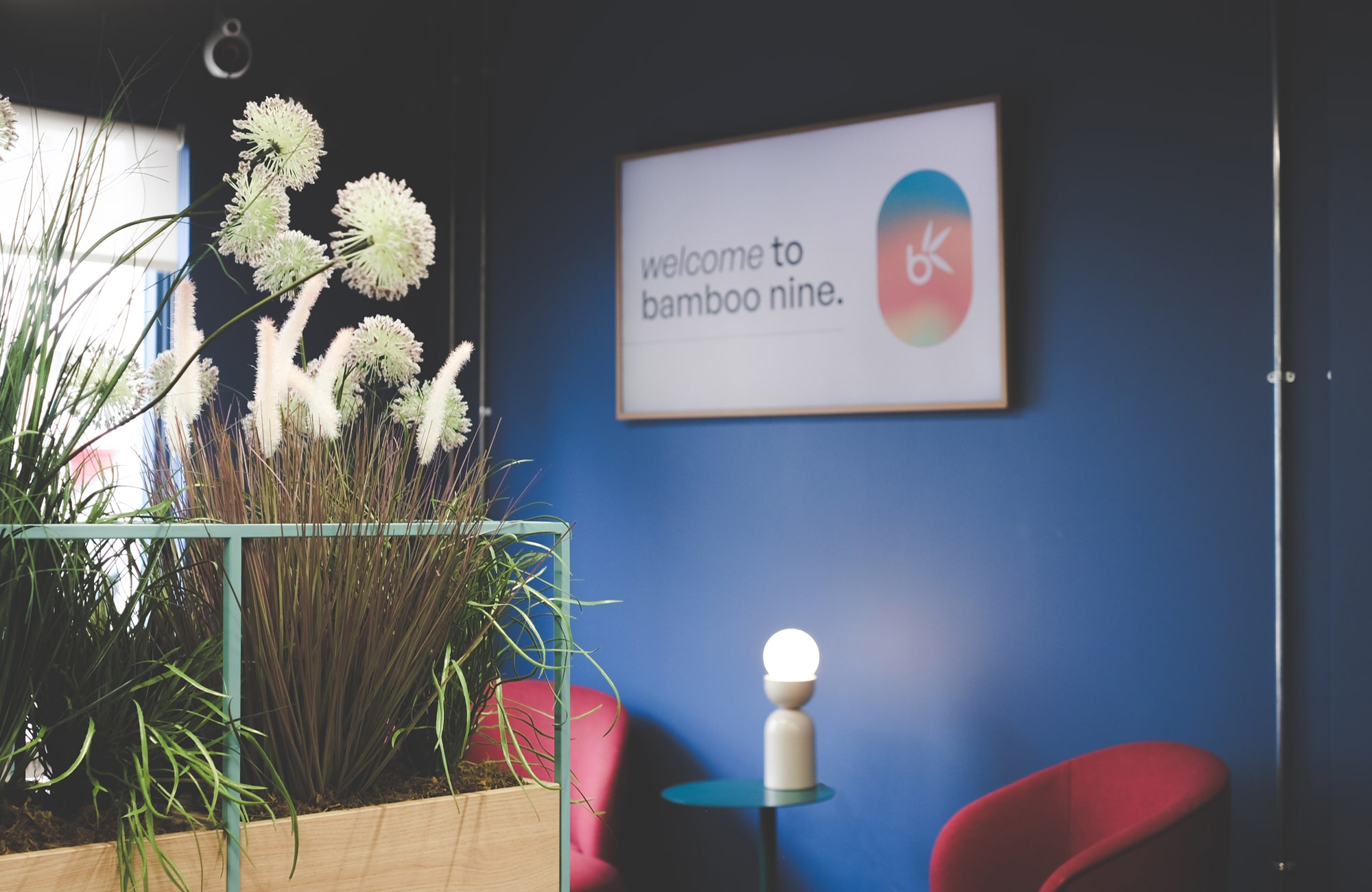 image of the welcome area in our office with potted plants, comfy seats and a screen displaying a welcome message