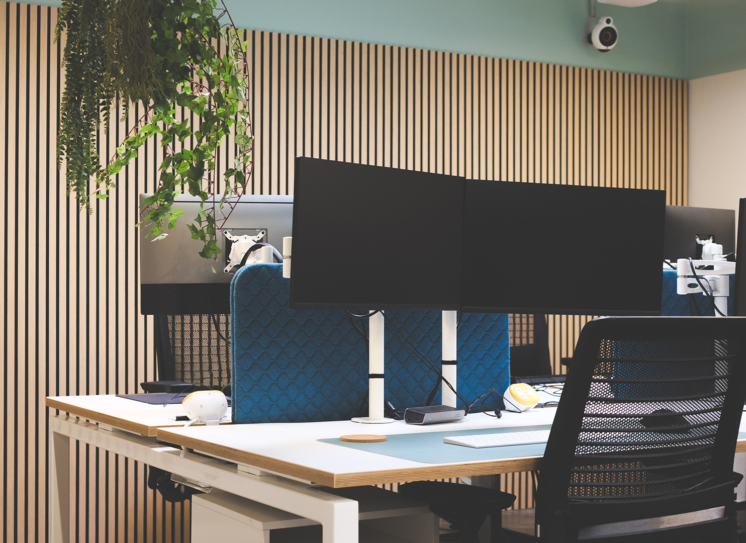 interior image of desks with computer monitors from our Bamboo Nine office