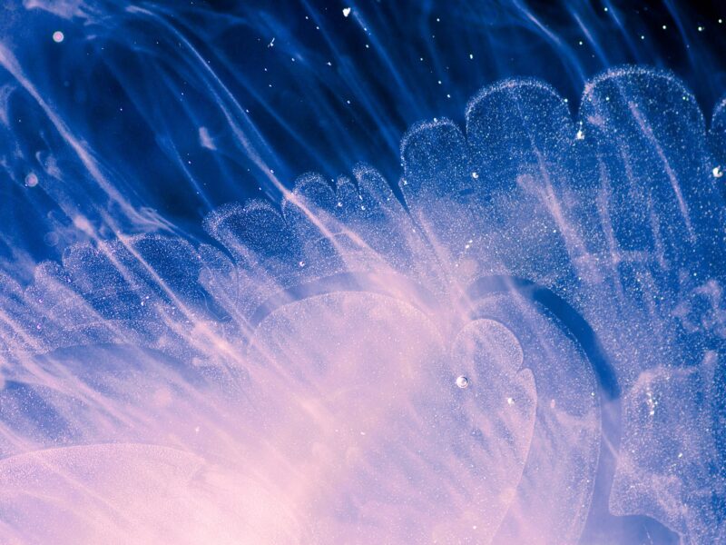 blue and pink underwater abstract image