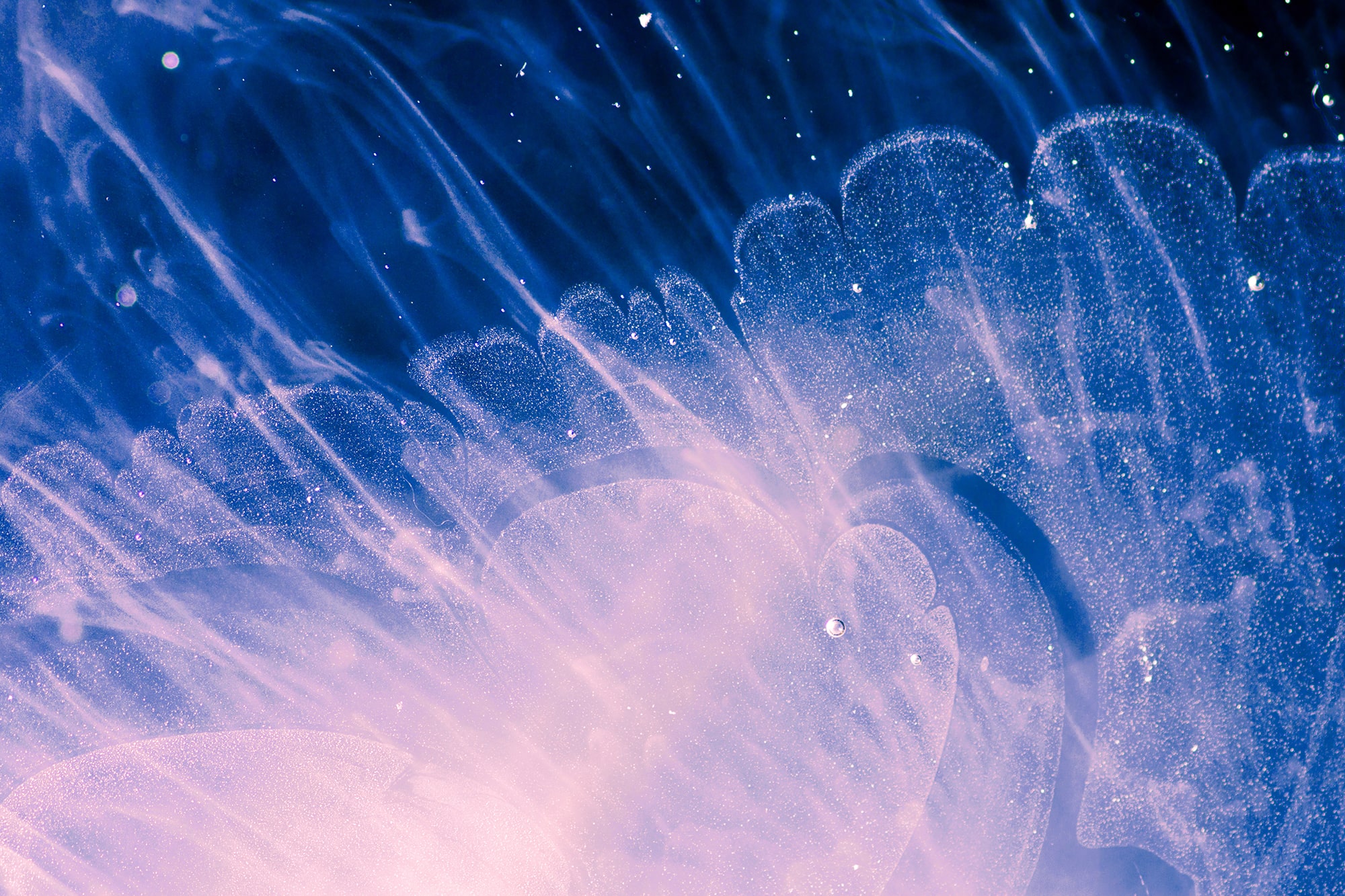 blue and pink underwater abstract image