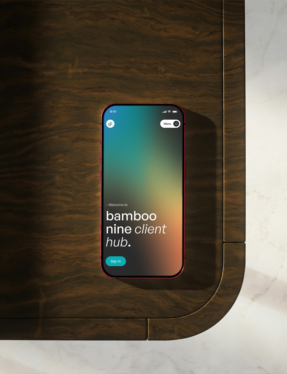 Bamboo Nine Client Hub sign in page on apple mobile device