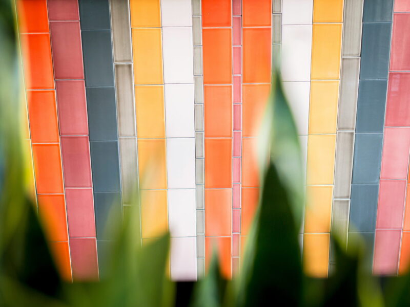 Blurred green plant leaves in the foreground partially frame a wall of vertically arranged rectangular tiles in bright shades of orange, coral, yellow, pink, teal, grey, and white, forming a bold, modern colour palette pattern.