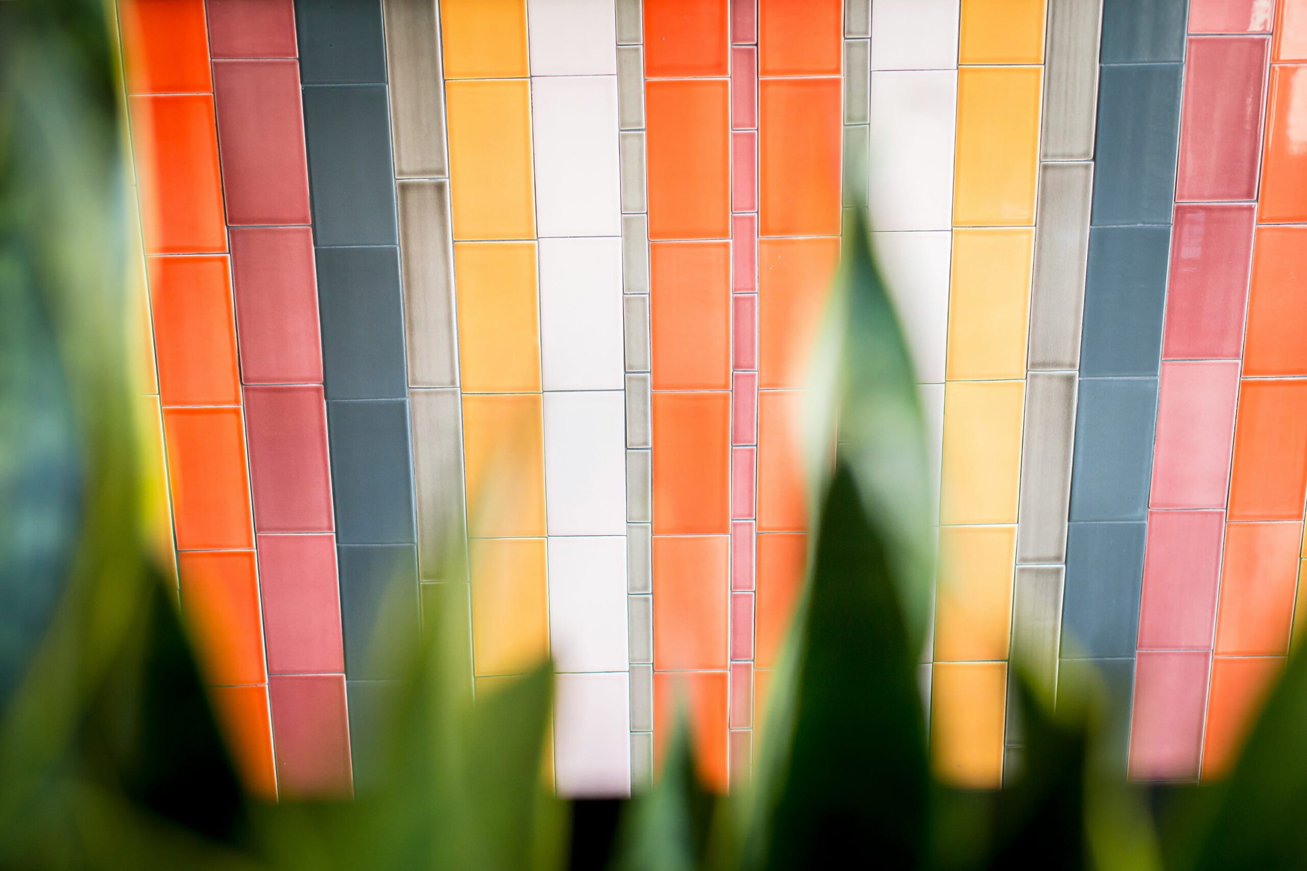 Blurred green plant leaves in the foreground partially frame a wall of vertically arranged rectangular tiles in bright shades of orange, coral, yellow, pink, teal, grey, and white, forming a bold, modern colour palette pattern.